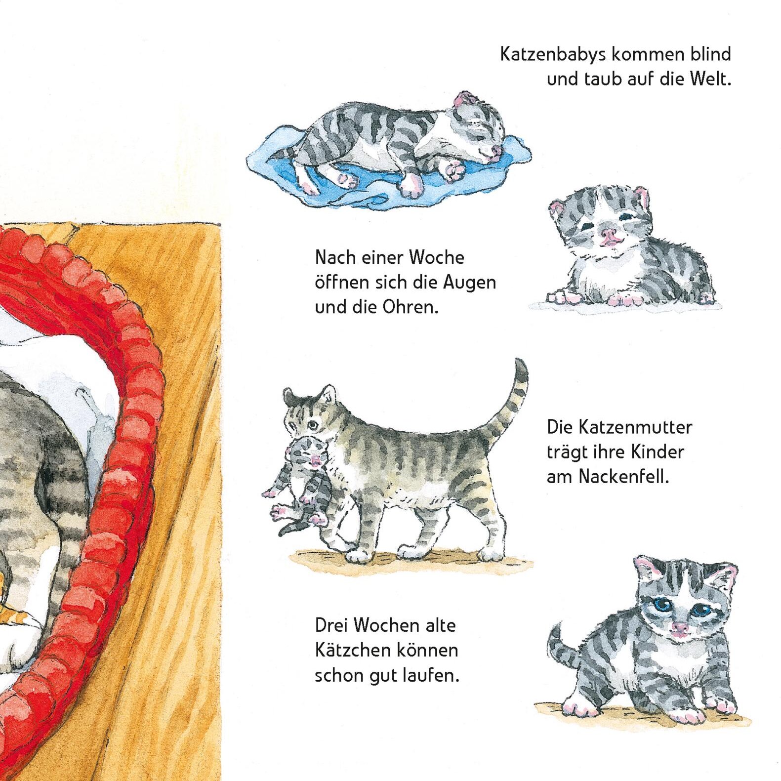 lesen
