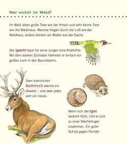Innenansicht 7