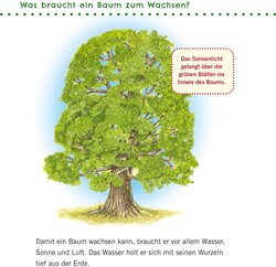 Innenansicht 9