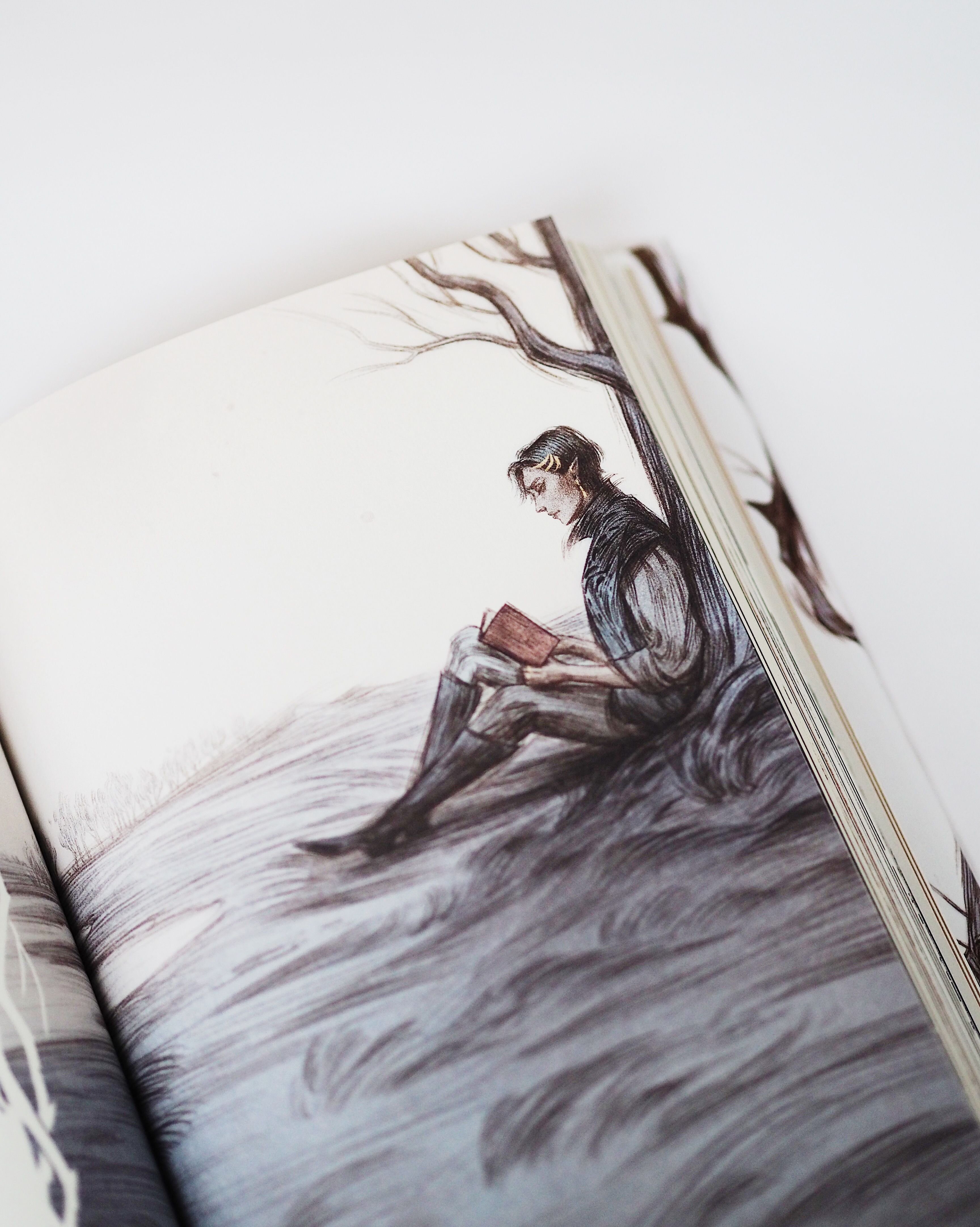 lesen