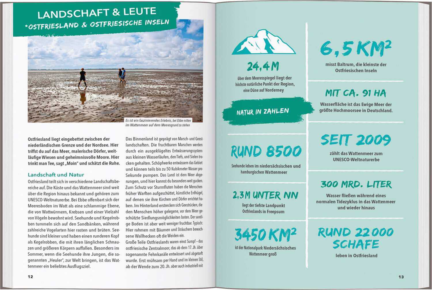 lesen