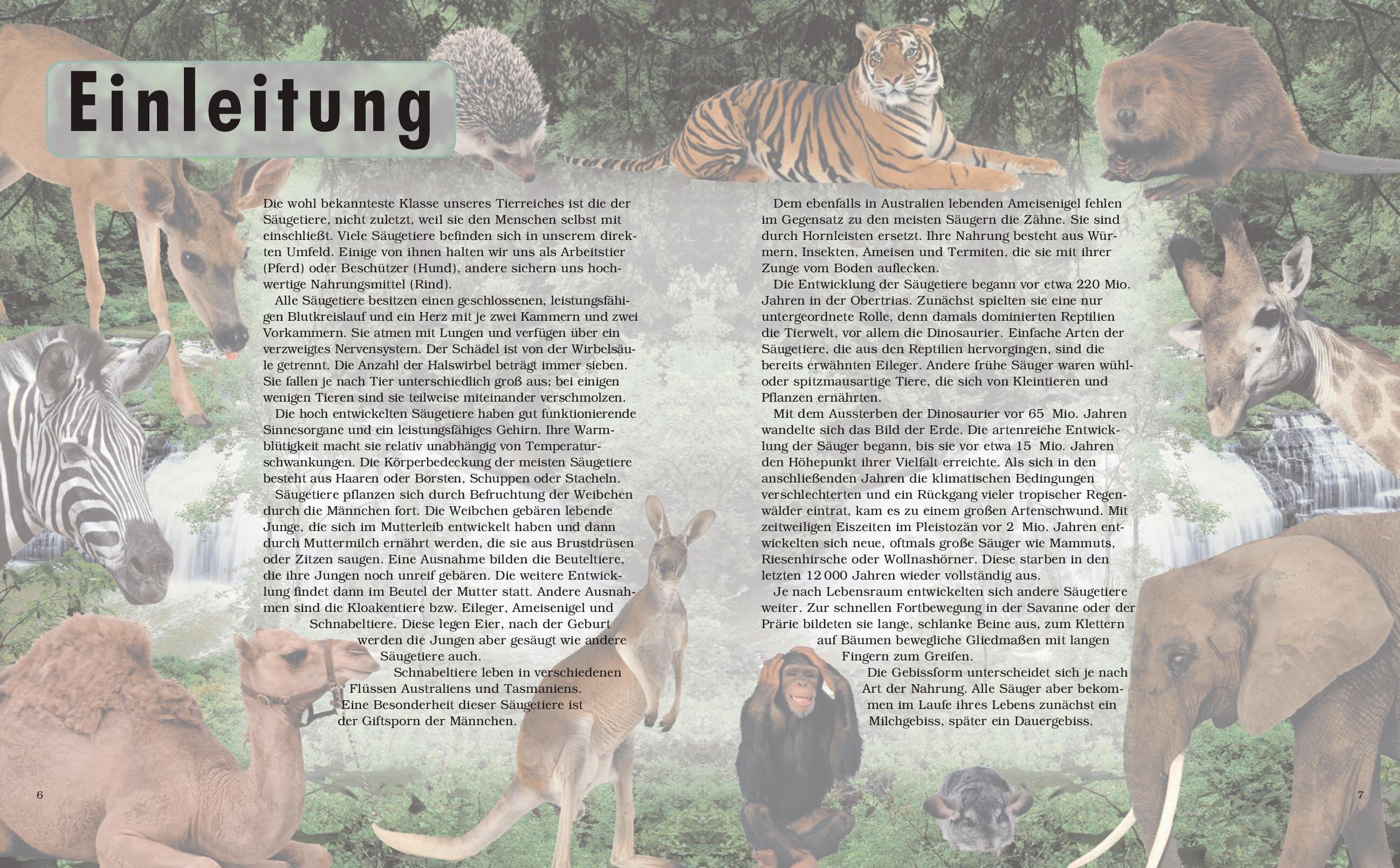 lesen