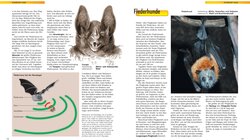 Innenansicht 5