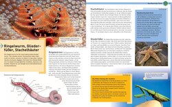 Innenansicht 4