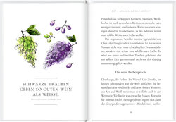 Innenansicht 7