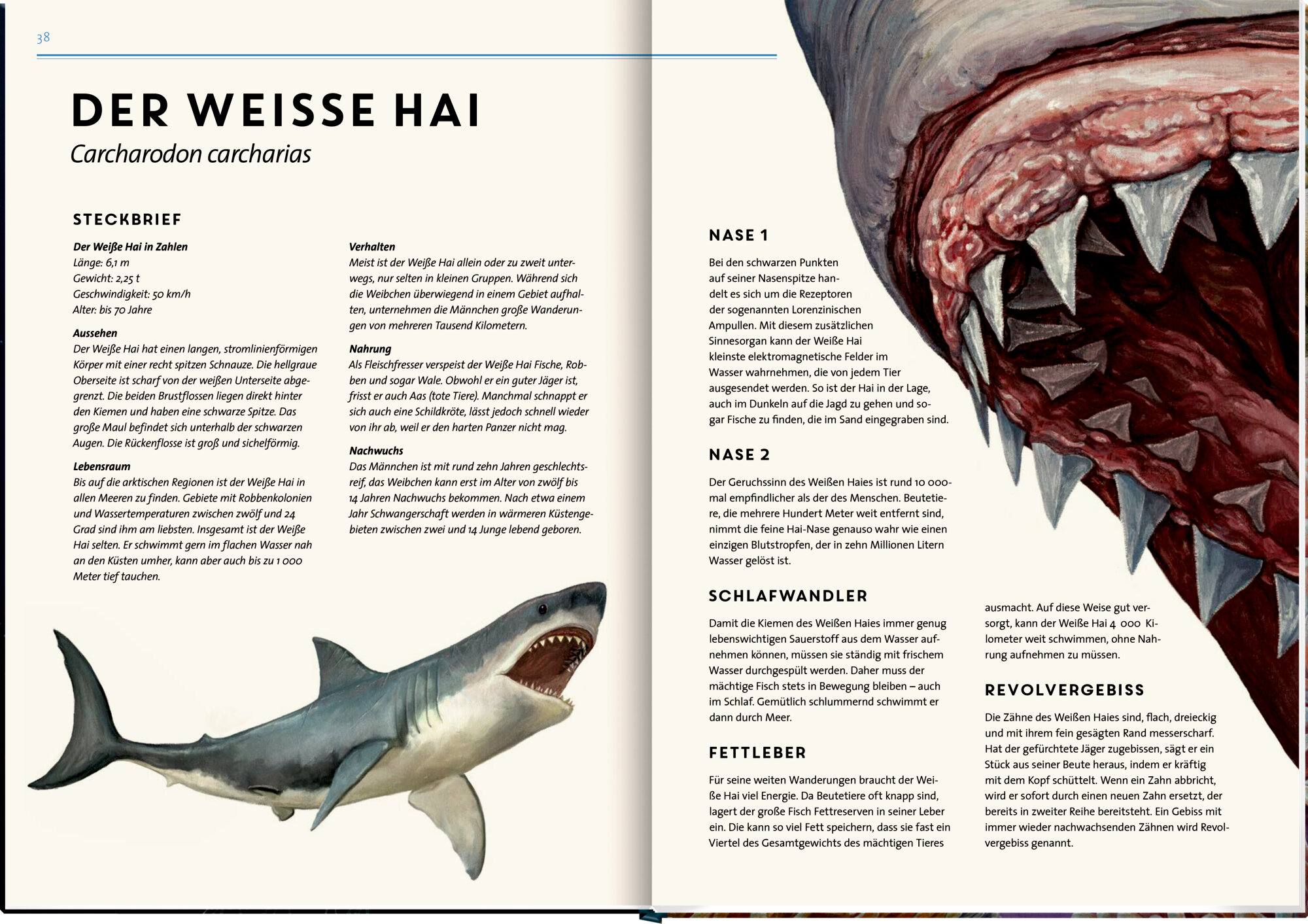 lesen