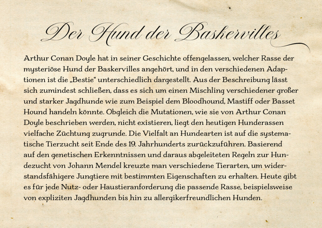 lesen
