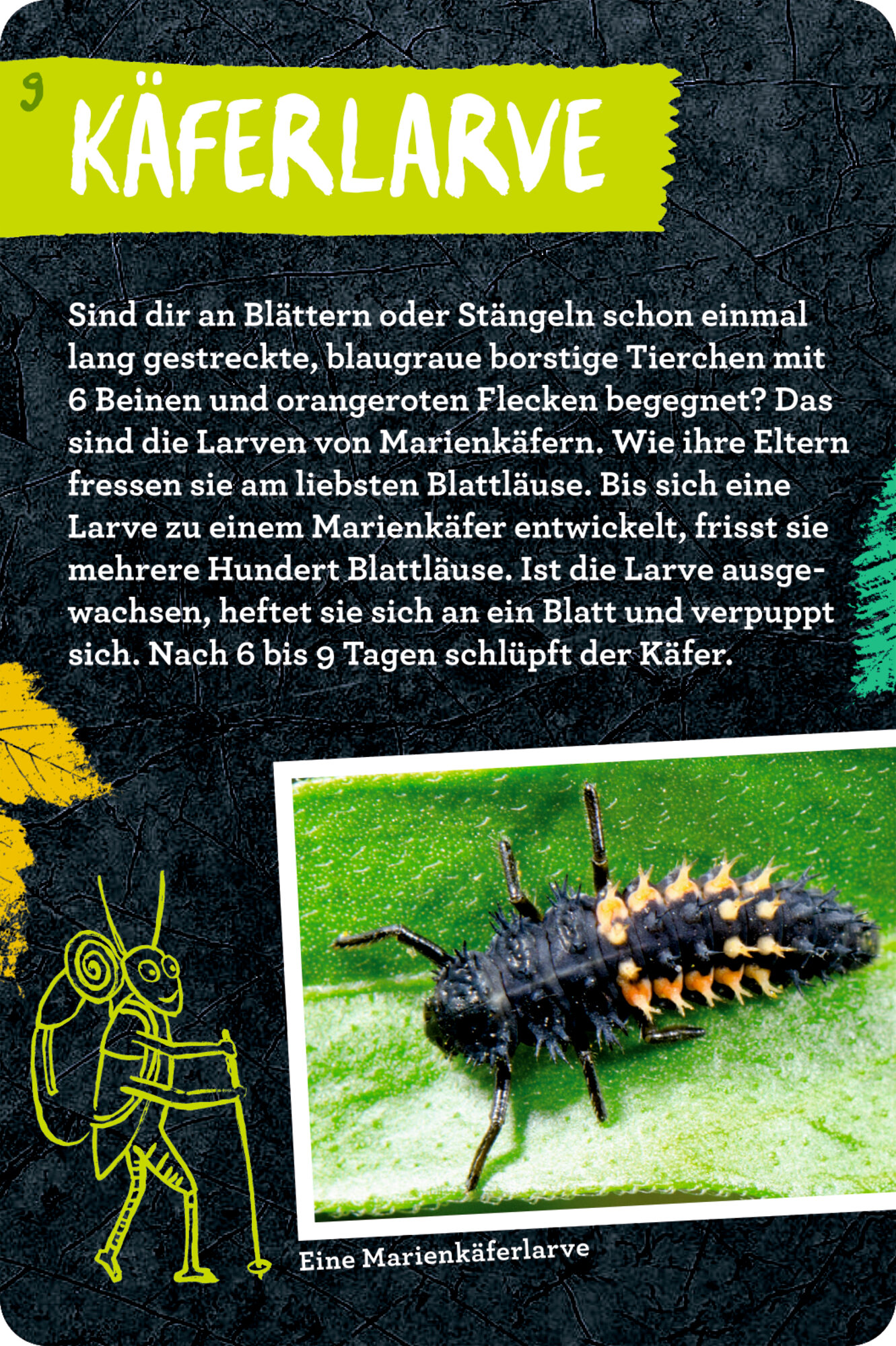 lesen