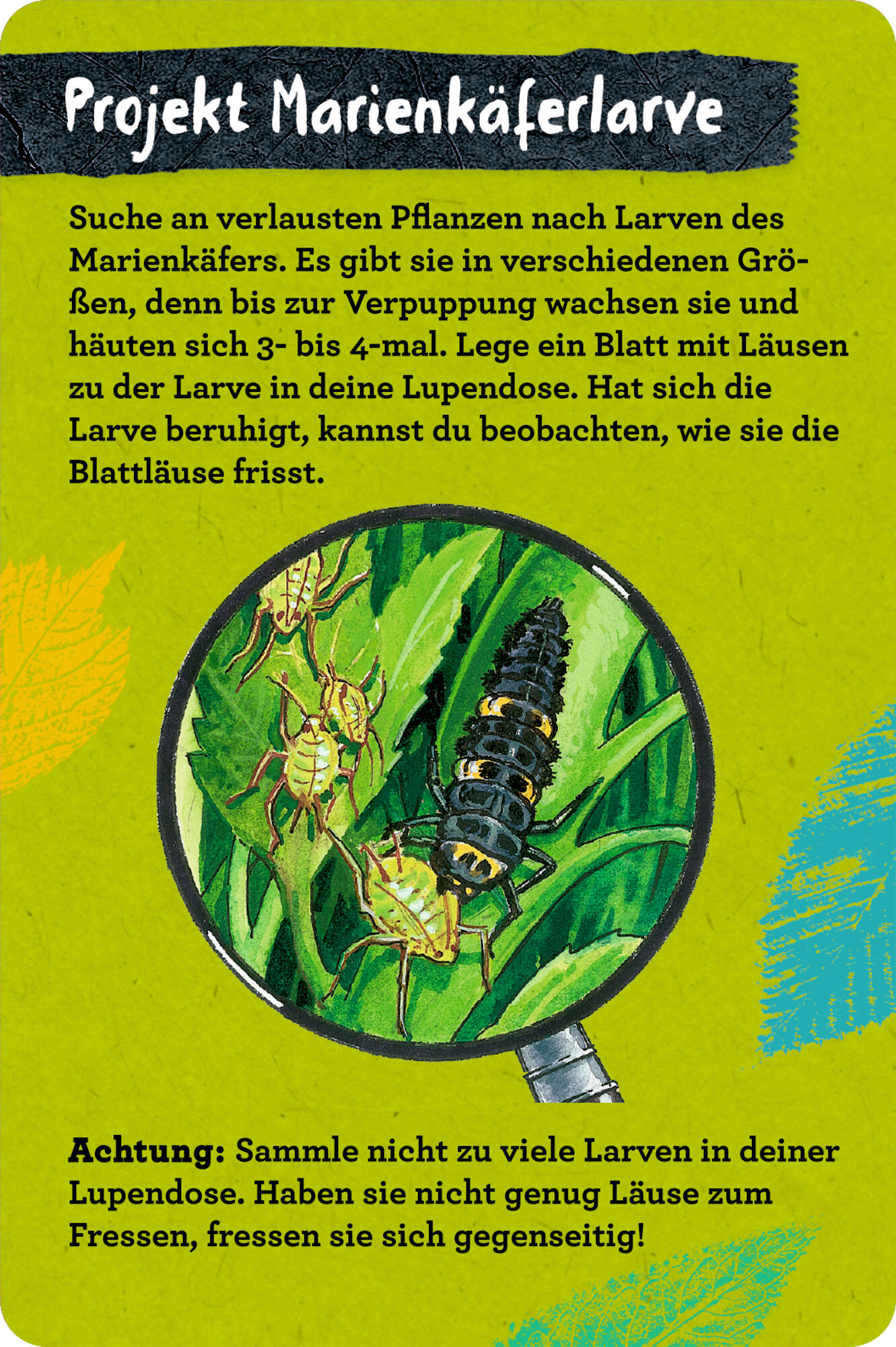 lesen