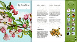 Innenansicht 5