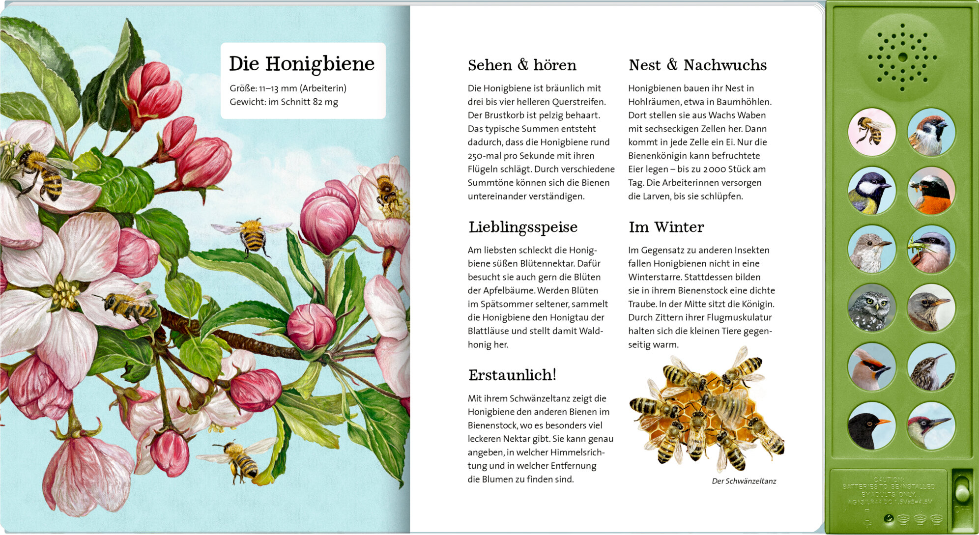 lesen