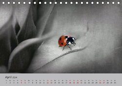Innenansicht 4