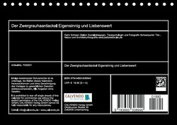 Innenansicht 13