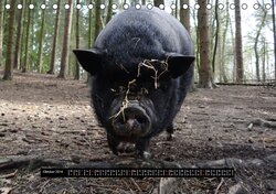 Innenansicht 10