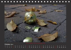 Innenansicht 8
