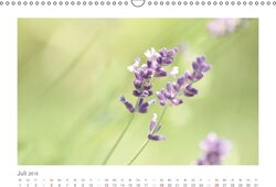 Innenansicht 7