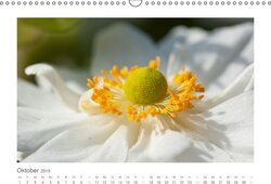 Innenansicht 10