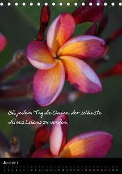 Innenansicht 6