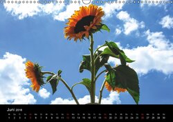Innenansicht 6