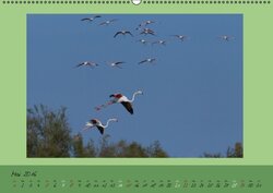 Innenansicht 5
