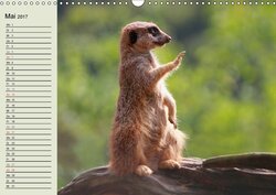 Innenansicht 5