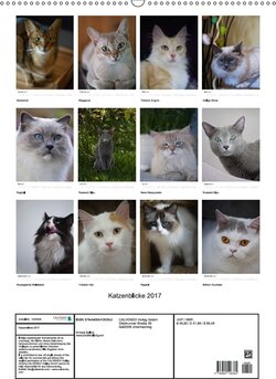 Innenansicht 13