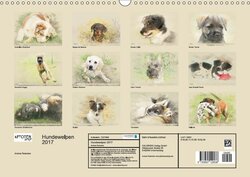 Innenansicht 13