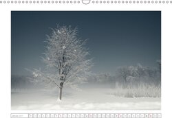Innenansicht 1