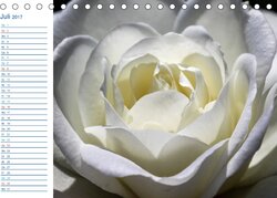 Innenansicht 7