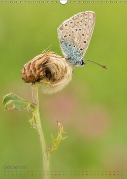 Innenansicht 10