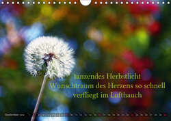 Innenansicht 6