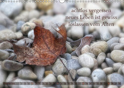 Innenansicht 2