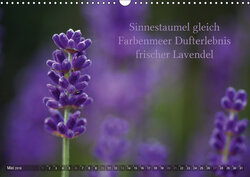 Innenansicht 5