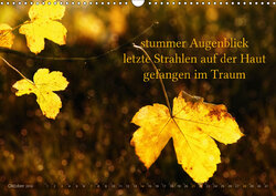 Innenansicht 8