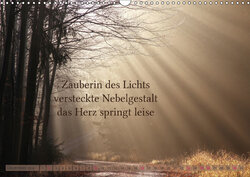 Innenansicht 11