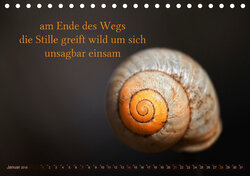 Innenansicht 1