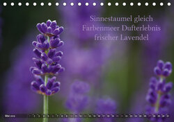 Innenansicht 5