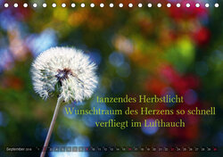 Innenansicht 8