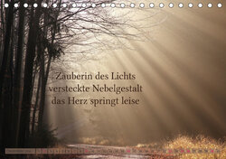 Innenansicht 12