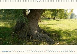 Innenansicht 9