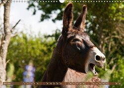 Innenansicht 7