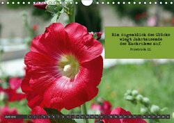 Innenansicht 7