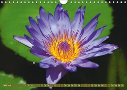 Innenansicht 5