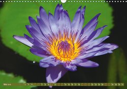 Innenansicht 5