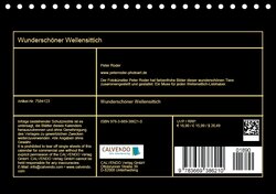 Innenansicht 13