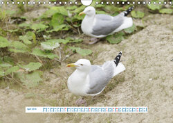 Innenansicht 4