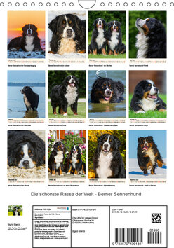 Innenansicht 13
