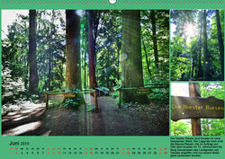 Innenansicht 6