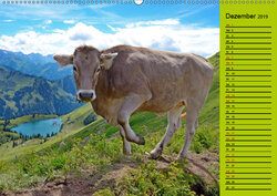 Innenansicht 12
