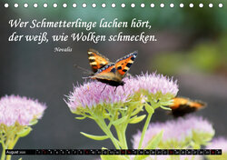 Innenansicht 8